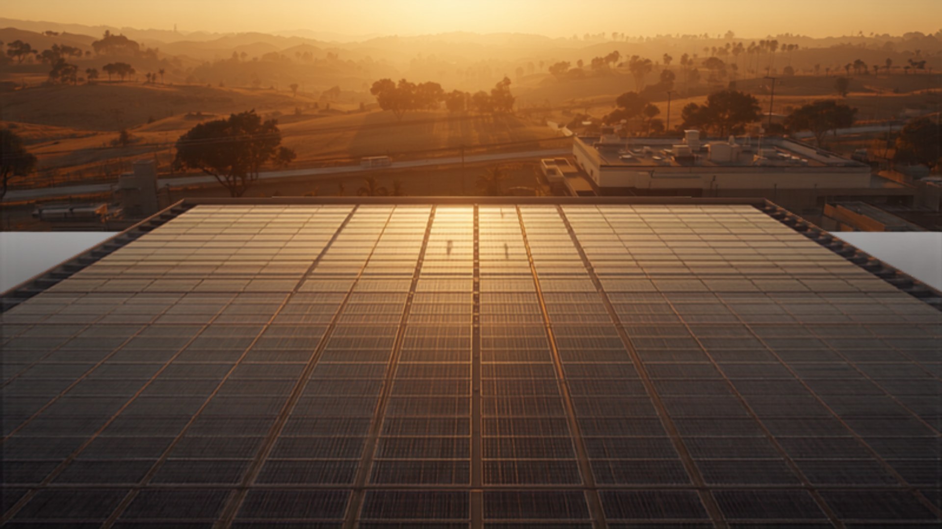 Rows of solar panels on a commercial rooftop at golden hour
